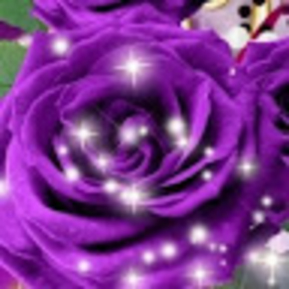 Meet your Posher, Beasa - Picture 1 of 1